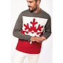 Maglione natalizio unisex girocollo con motivo "fiocco di neve''